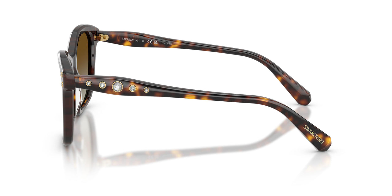 1002T5 - Tortoise - Polar Brown Gradient