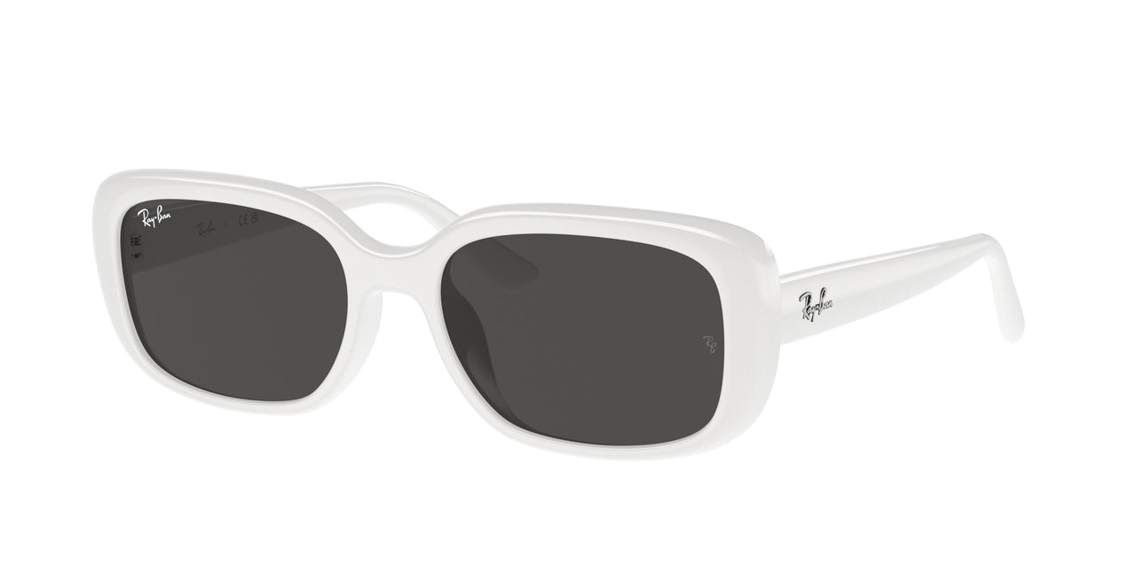 Ray-Ban 4421D Sunglasses