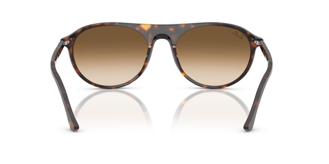 902/51 - Tortoise - Clear Gradient Brown