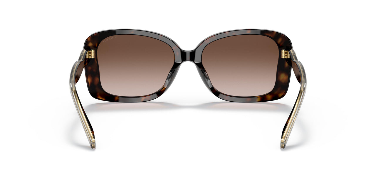 512013 - Havana - Dark Brown Gradient