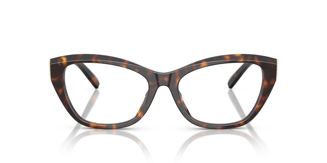 8015 - Tortoise