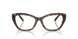 8015 - Tortoise
