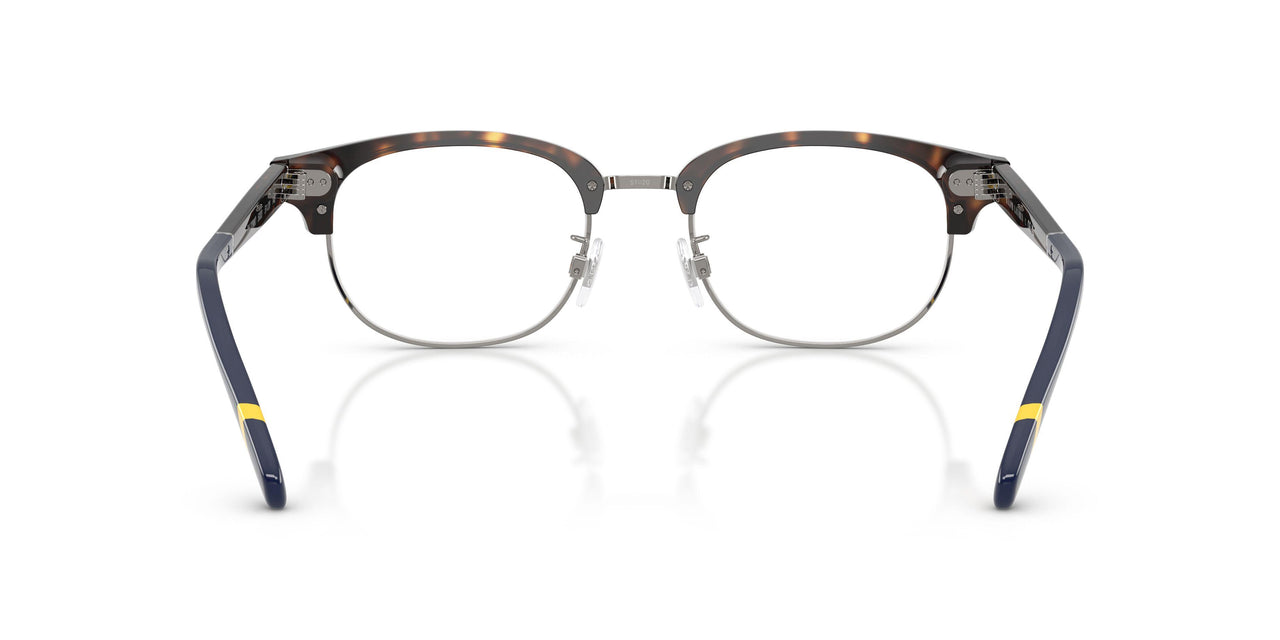 5003 - Tortoise