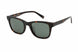 Banana Republic LLOYD_S Sunglasses