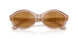 34016H - Brown - Gold Mirror