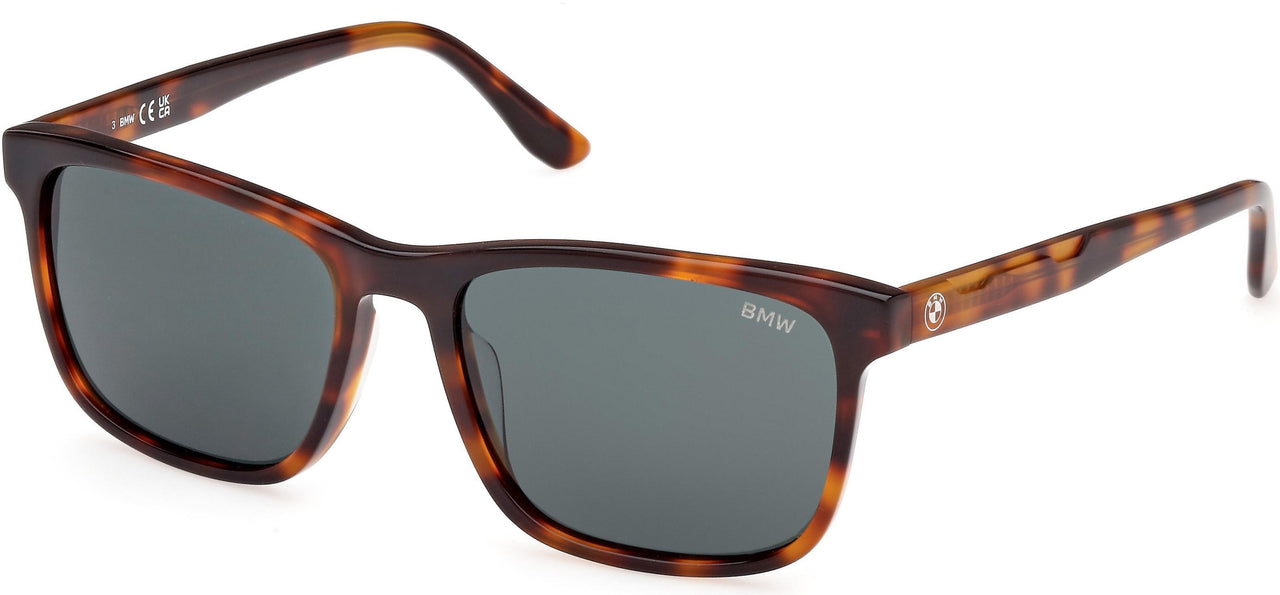 BMW 0053H Sunglasses