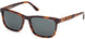 BMW 0053H Sunglasses