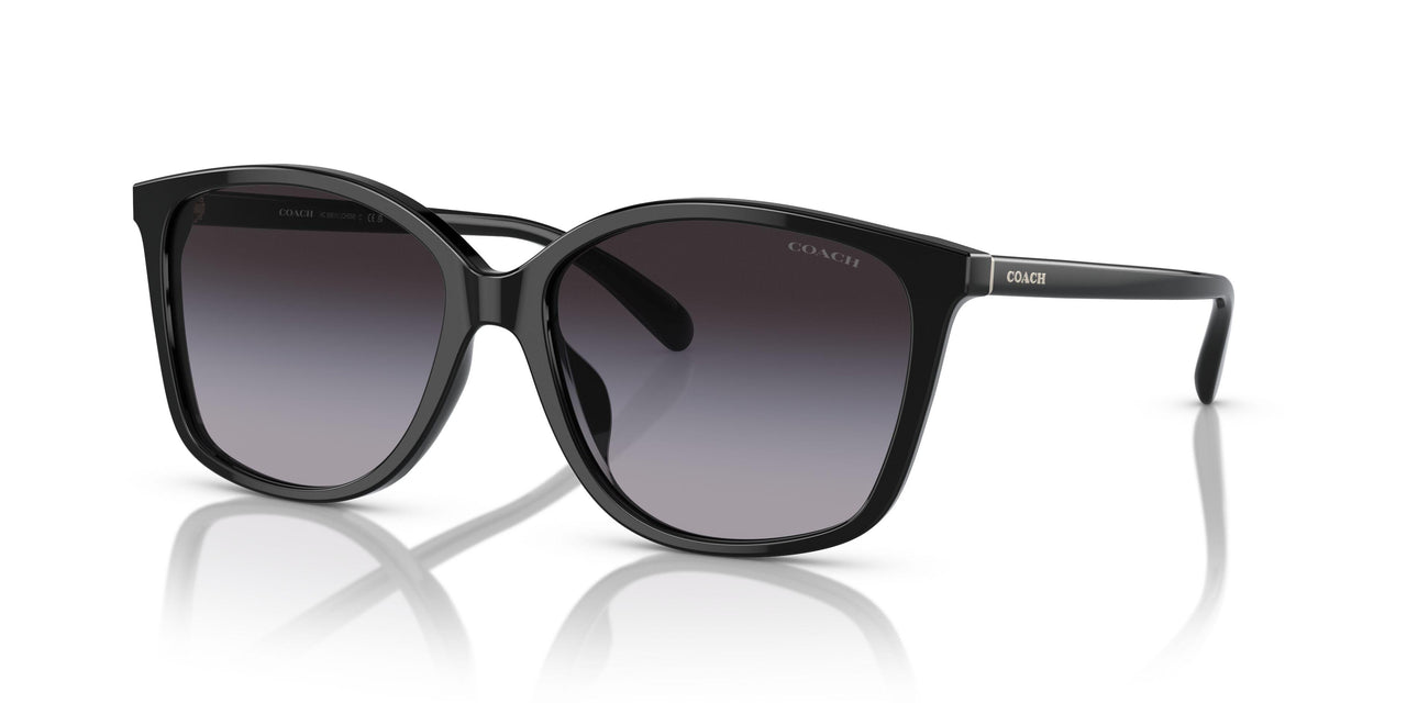 50028G - Black - Grey Gradient
