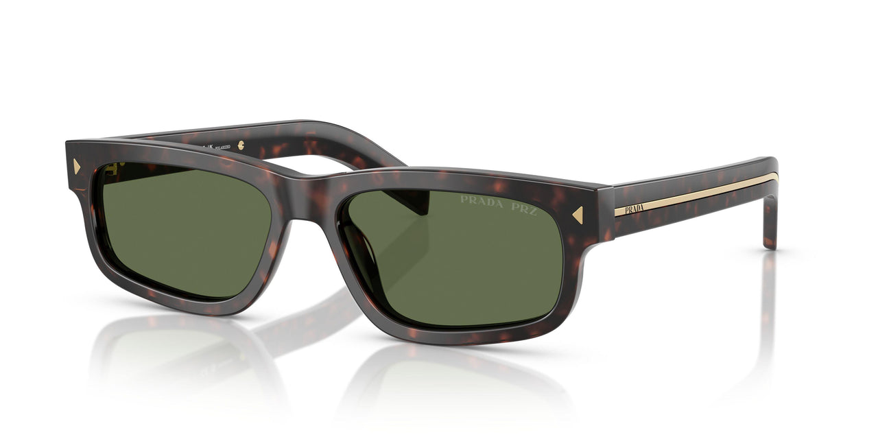 17N20G - Tortoise - Polar Green