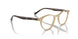W900 - Brown