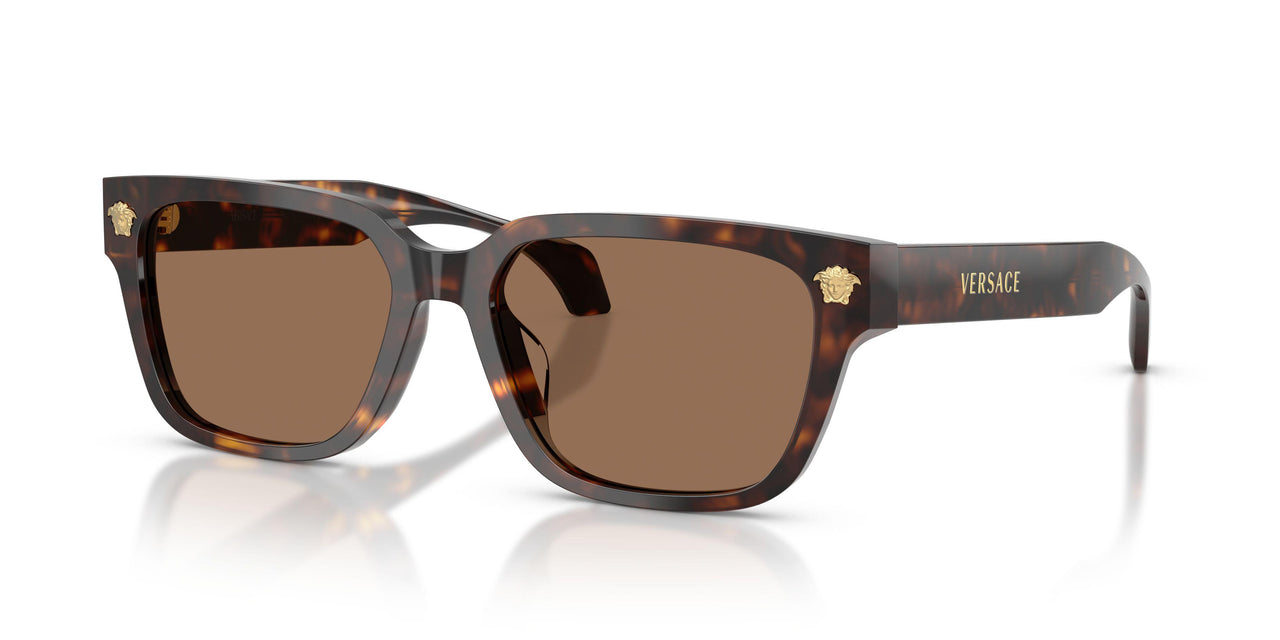 108/73 - Tortoise - Dark Brown