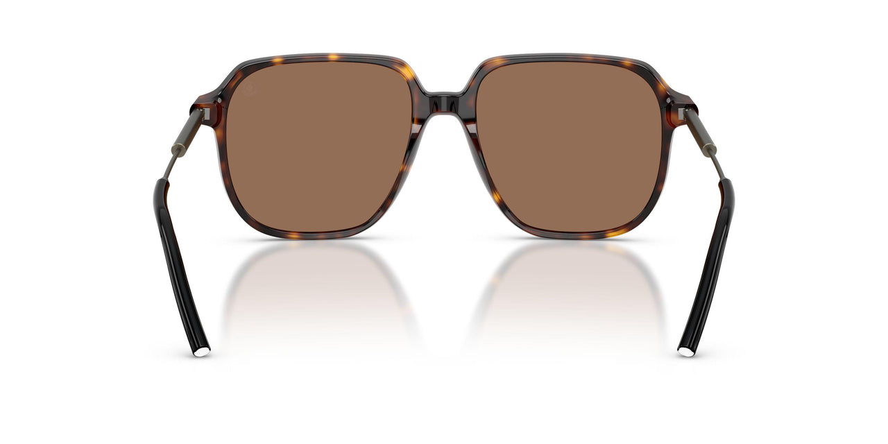 300273 - Tortoise - Brown Solid
