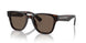 17N08T - Tortoise - Brown