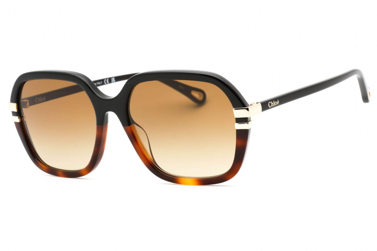 Chloe CH0204S Sunglasses