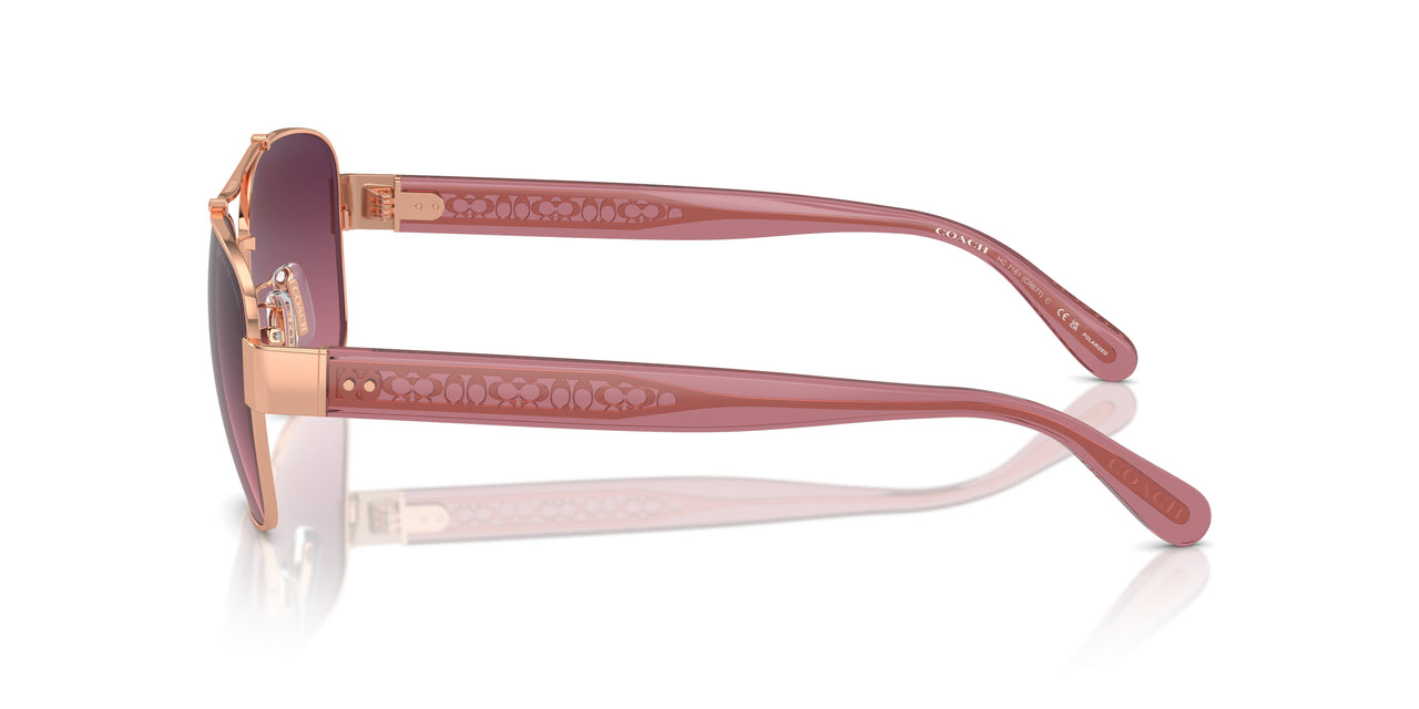 9331F4 - Gold - Burgundy Gradient Polar