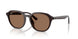 623173 - Brown - Dark Brown