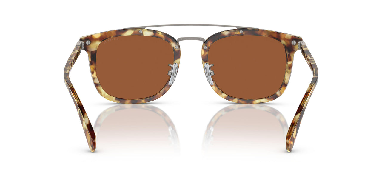 504573 - Tortoise - Brown Solid