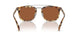 504573 - Tortoise - Brown Solid