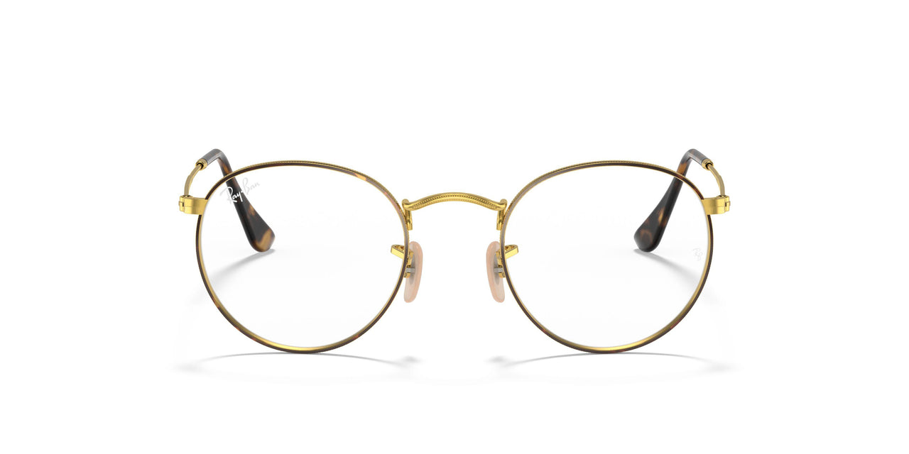 2945 - Tortoise - Clear