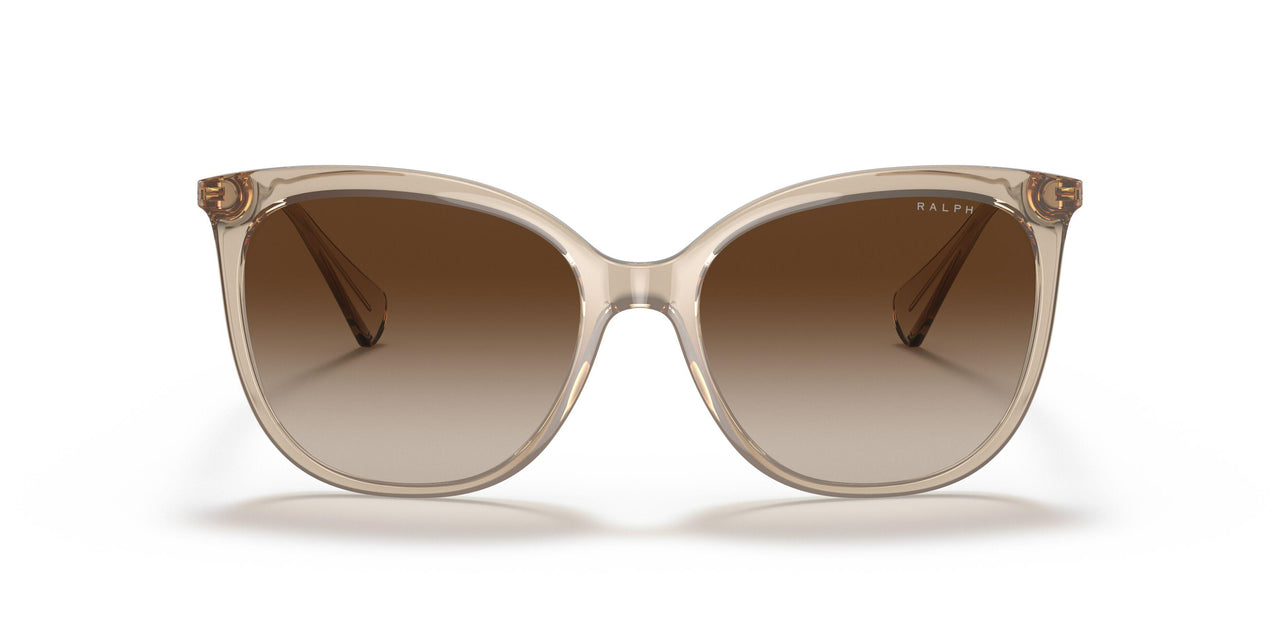 580213 - Brown - Gradient Brown