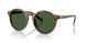 562571 - Tortoise - Bottle Green