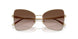 300613 - Gold - Gradient Brown