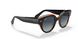132241 - Black - Grey Gradient