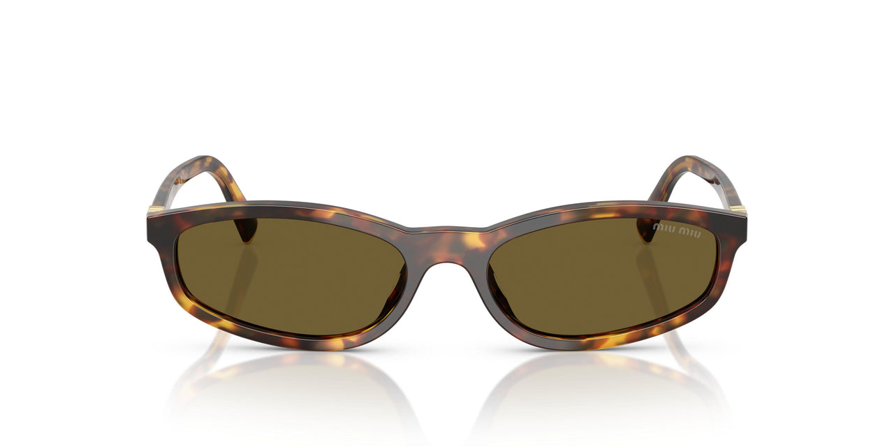 14L09Z - Tortoise - Dark Brown