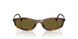 14L09Z - Tortoise - Dark Brown
