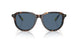 500380 - Tortoise - Dark Blue