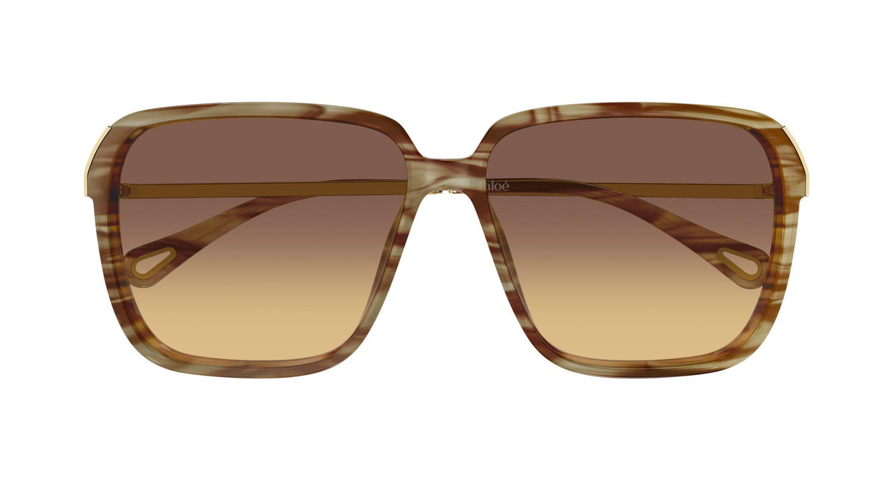 004 - Havana/Gold - Brown