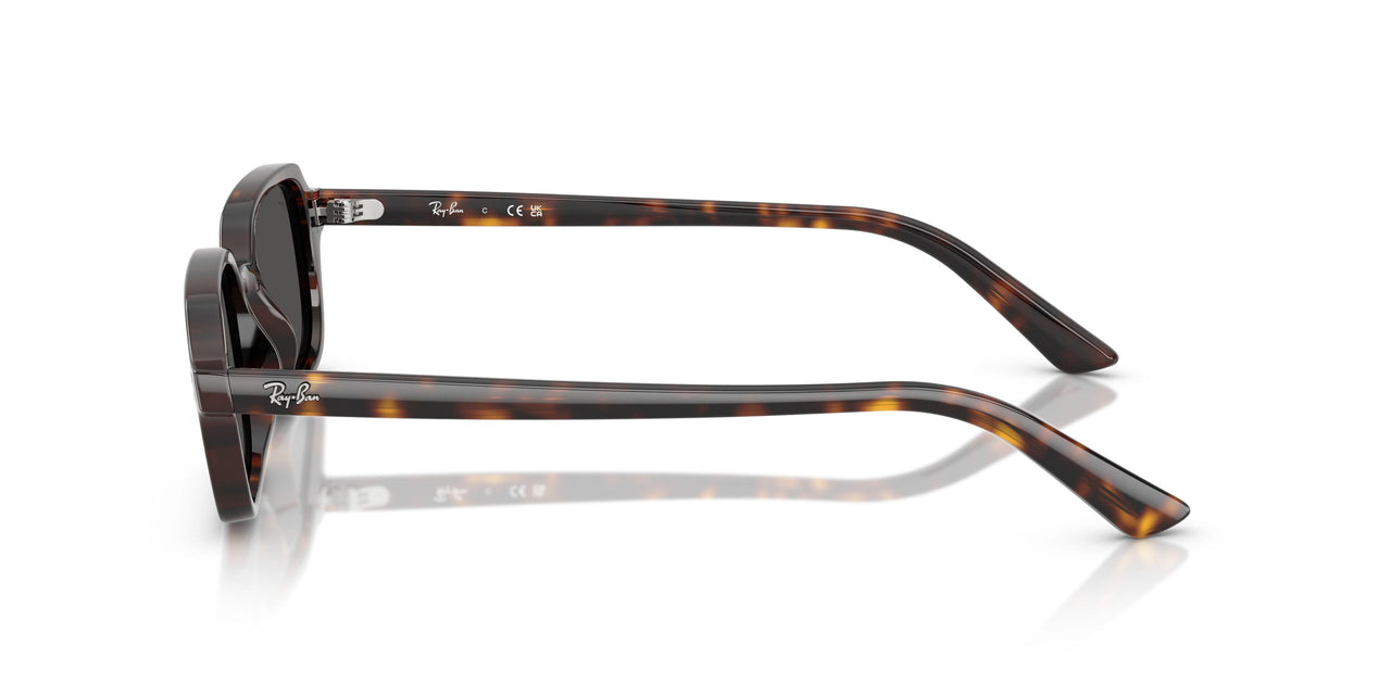 135987 - Tortoise - Dark Grey