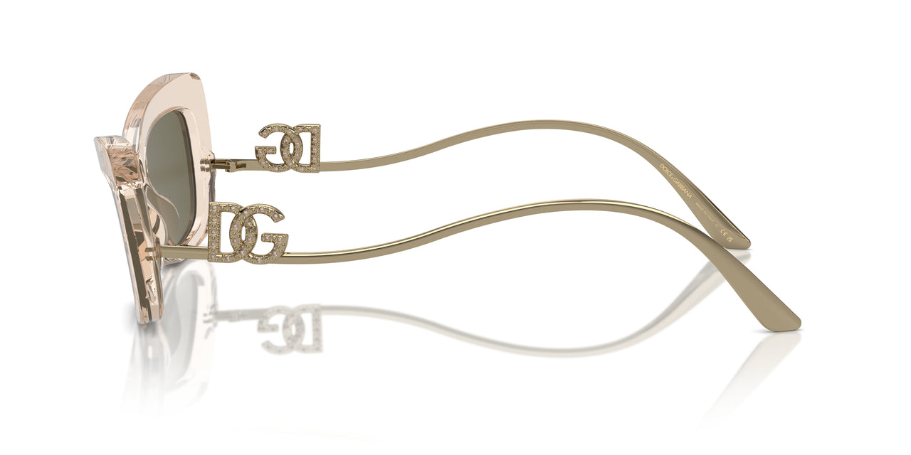343203 - Brown - Clear Mirror Real Yellow Gold
