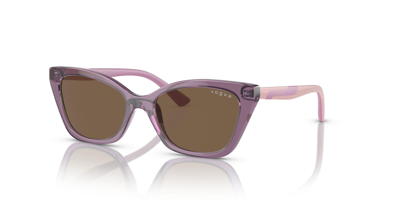 306473 - Transparent Violet - Dark Brown