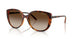 W65613 - Brown - Gradient Brown