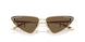 300673 - Gold - Dark Brown