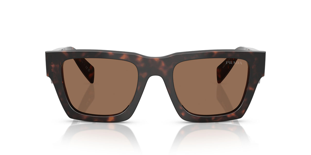 17N06B - Tortoise - Dark Brown