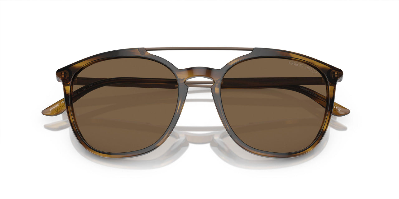 603773 - Tortoise - Dark Brown