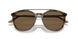 603773 - Tortoise - Dark Brown