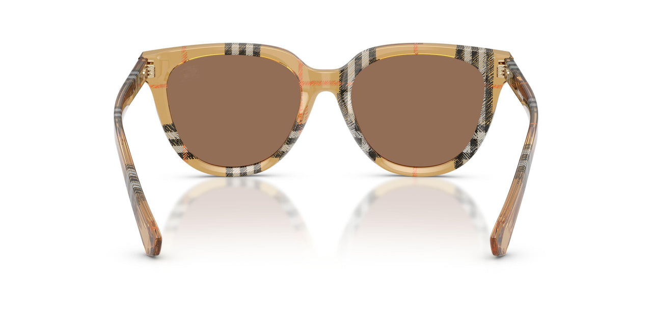 416373 - Brown - Dark Brown