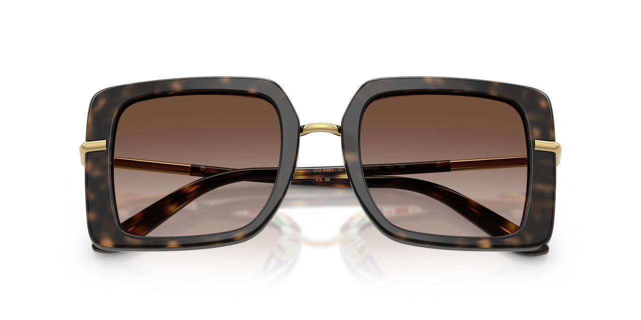 321713 - Tortoise - Brown Gradient