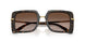 321713 - Tortoise - Brown Gradient