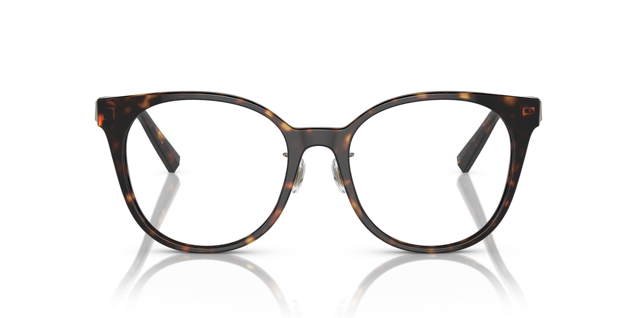 8015 - Tortoise