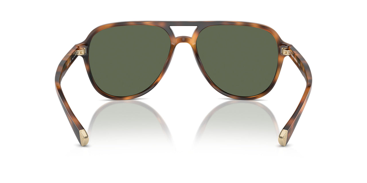 616171 - Tortoise - Solid Green