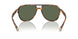 616171 - Tortoise - Solid Green