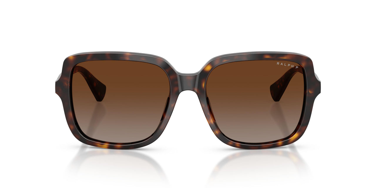 5003T5 - Tortoise - Polar Brown Gradient