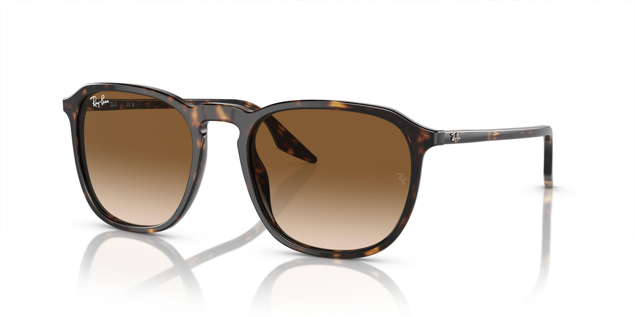 902/51 - Tortoise - Clear/brown