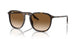 902/51 - Tortoise - Clear/brown
