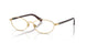 Polo 1249 Eyeglasses