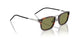 24/4E - Tortoise - Olive Green